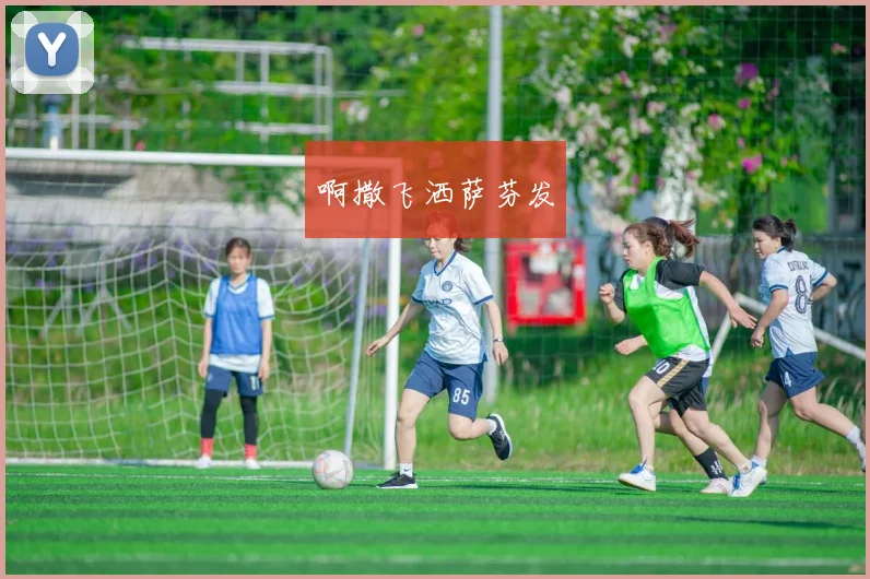 2023体育真人轮盘软件性能与流畅度权威评测